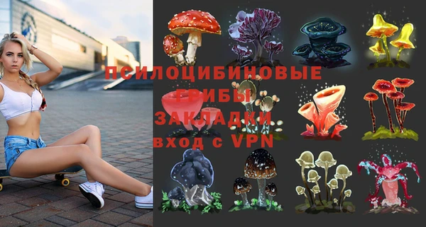 скорость Алексин
