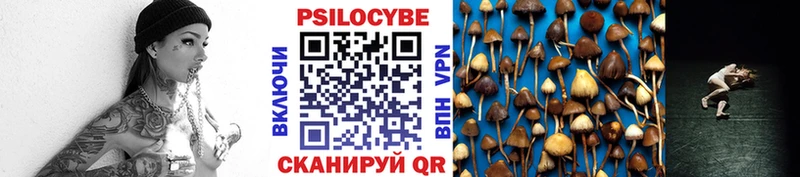 Псилоцибиновые грибы ЛСД  blacksprut ТОР  Полтавская  купить наркоту 